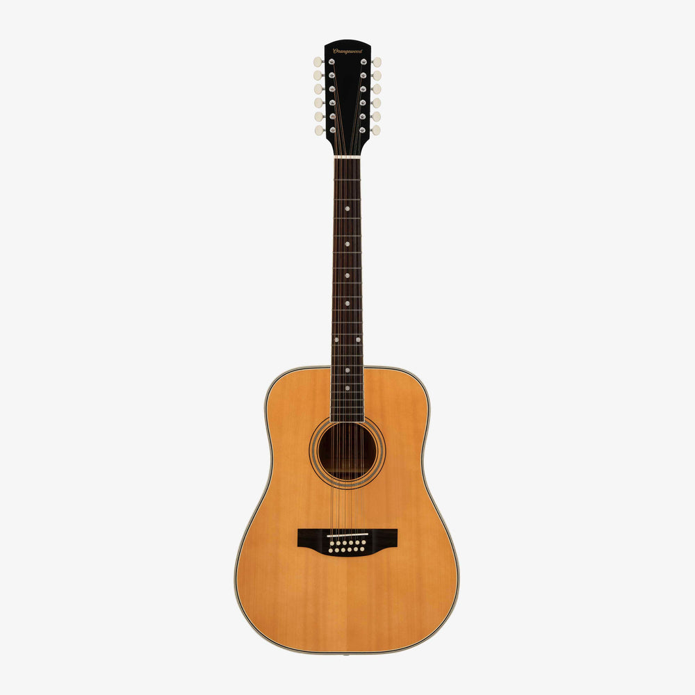 Austen Retro Live 12-String