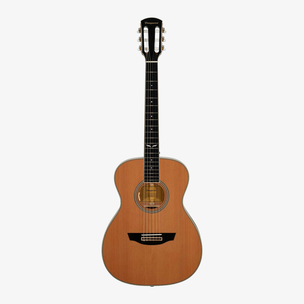Ava Live Nylon-String