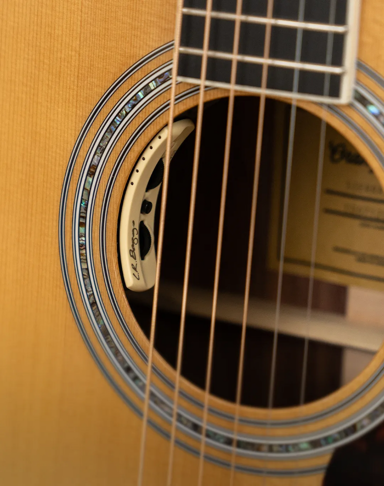 Closeup of LR Baggs Soundhole controls