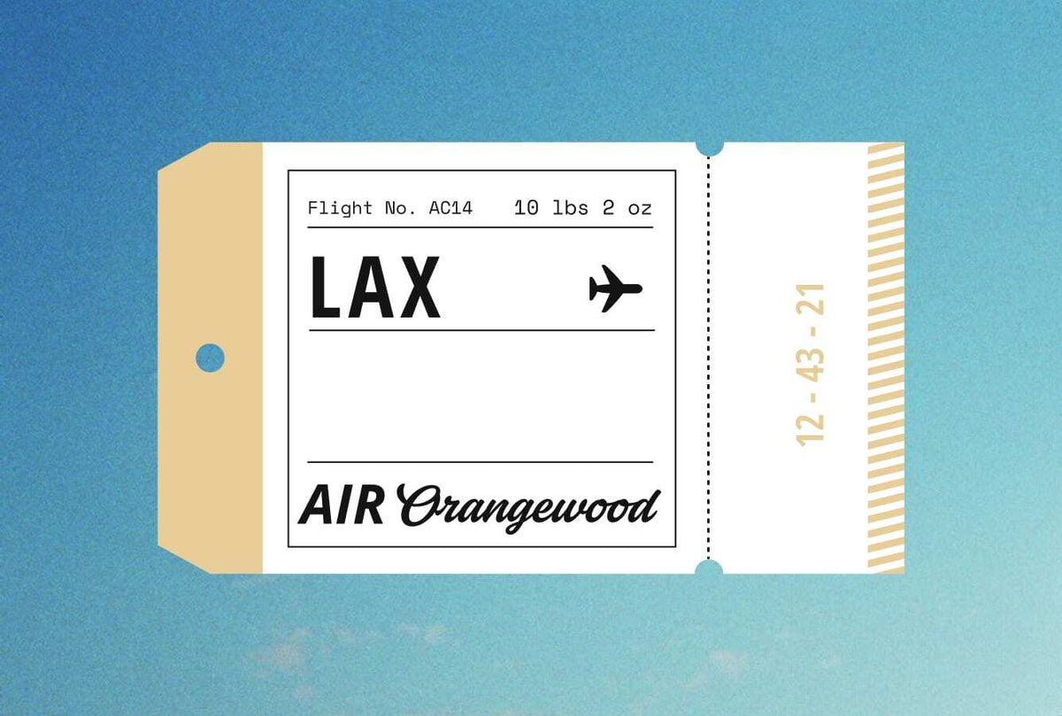 Airplane Mode: Traveling With Your Guitar