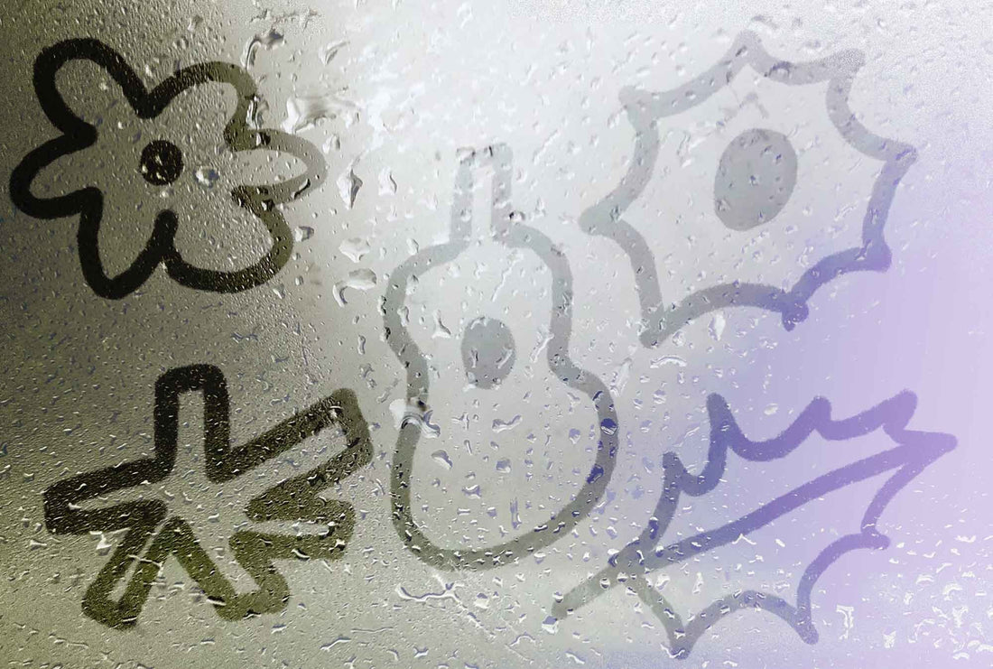 A Player’s Guide to Humidity and Acoustic Guitars