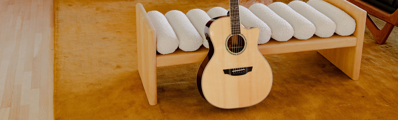 echo 12 and echo guitar on a stage