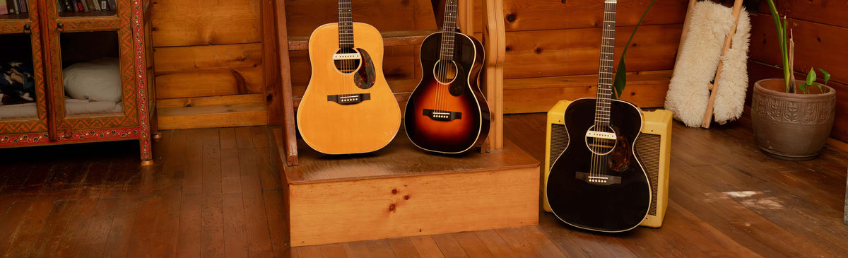 echo 12 and echo guitar on a stage