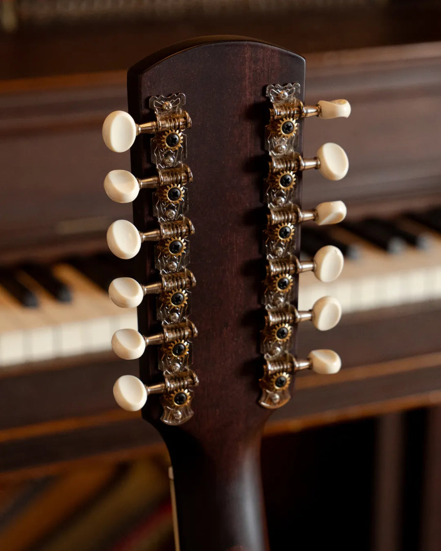 12-String Shimmer