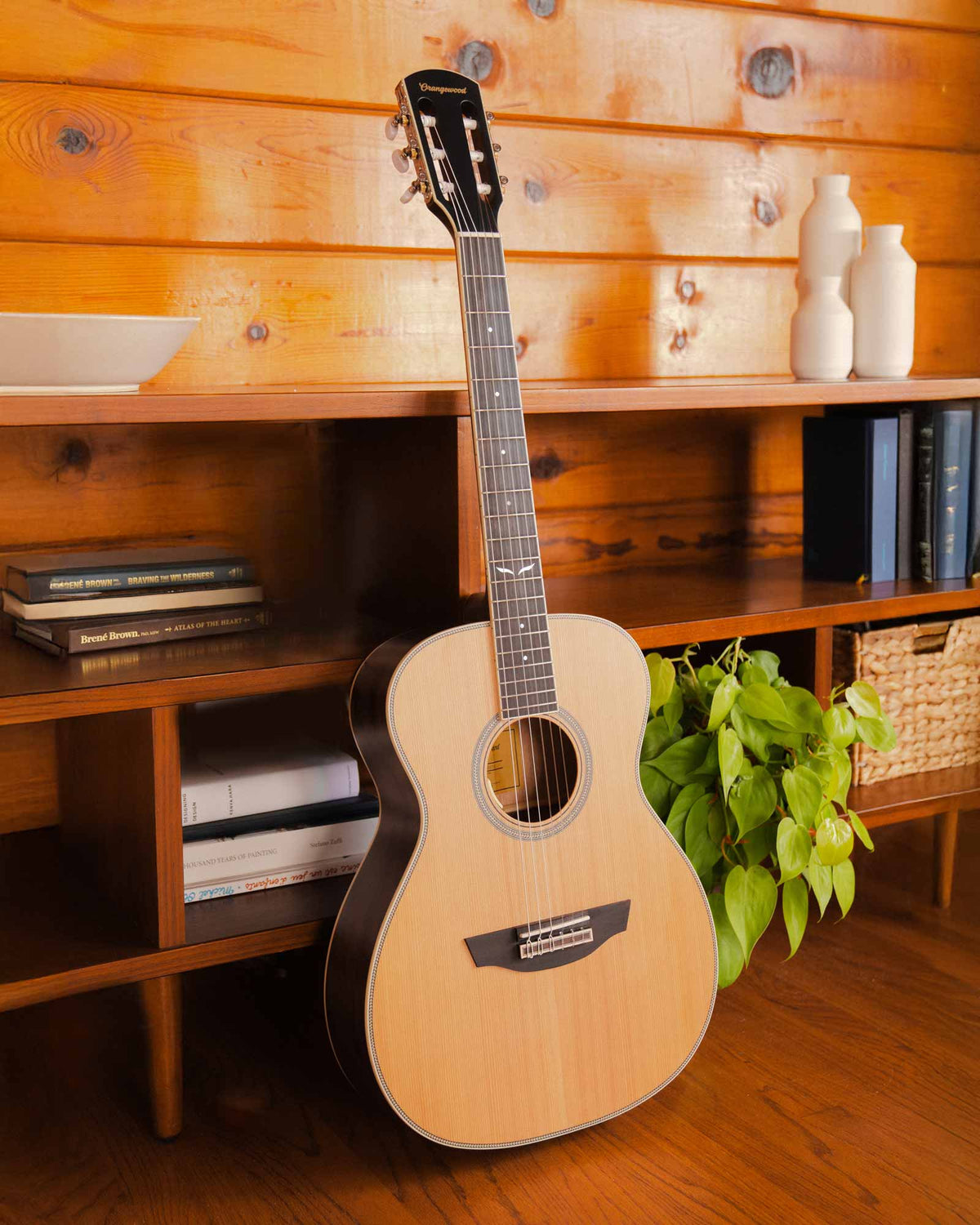 Ava nylon-string guitar leaning against a bookcase