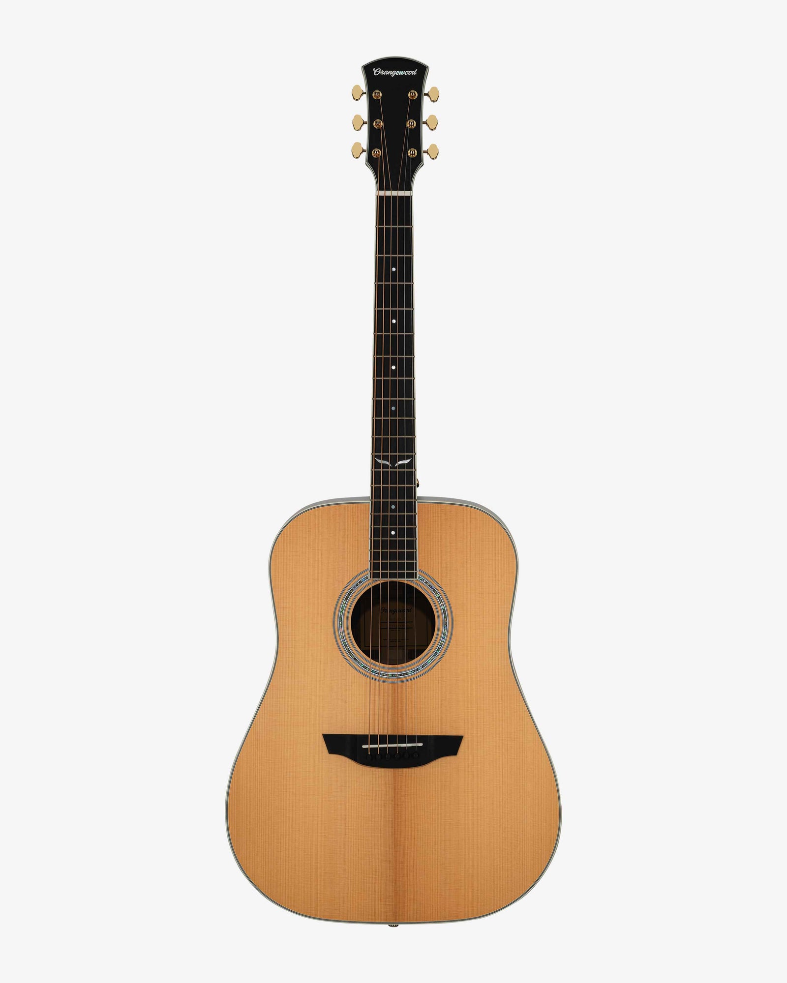 front view of berkeley guitar