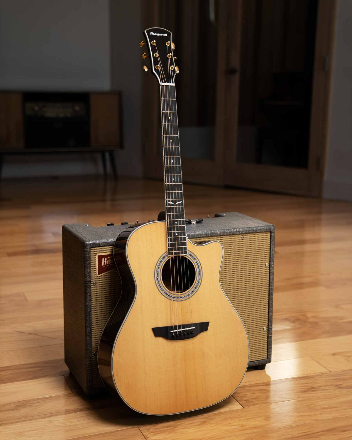 Cleo guitar in front of an amp