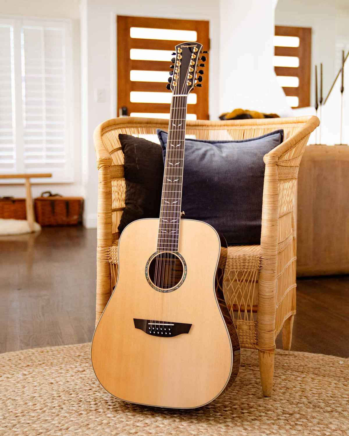 Echo Live 12-String - Almost Perfect
