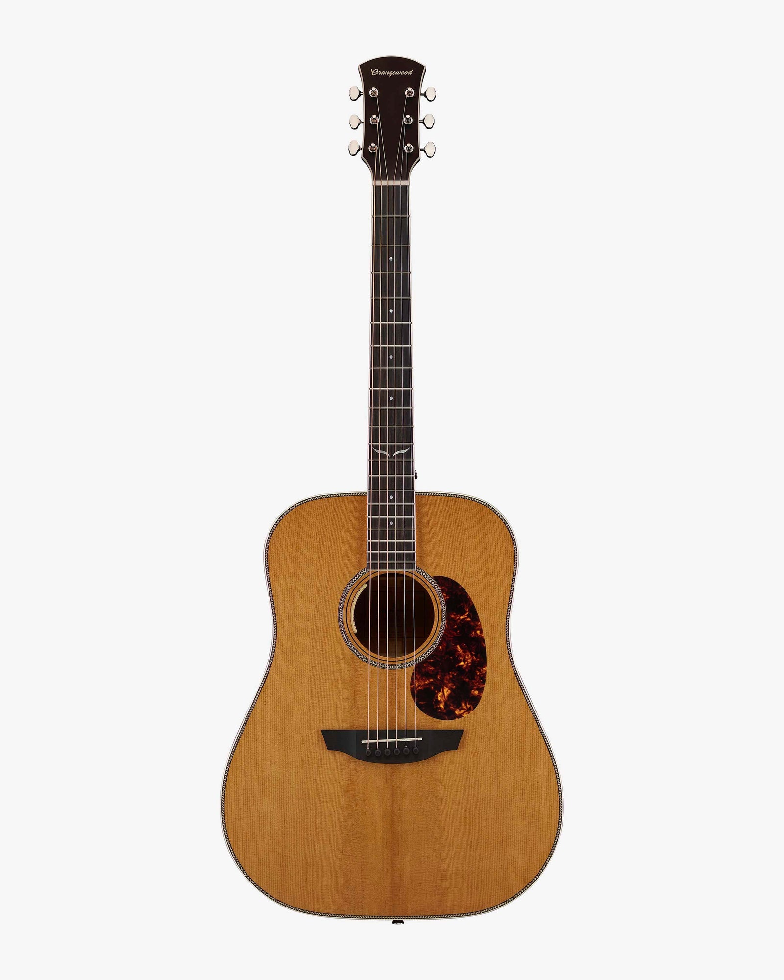 Torrefied spruce dreadnought guitar with ebony fretboard and LR Baggs Anthem pickups