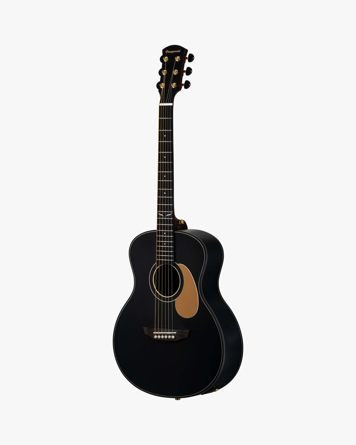 Angled view of black mini guitar