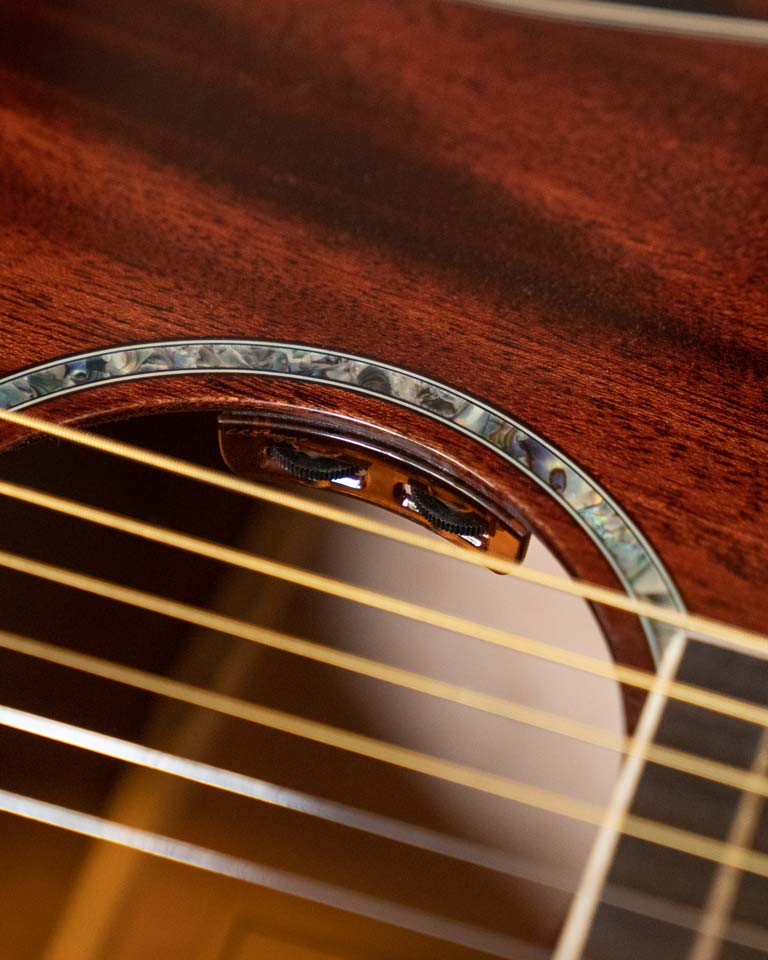 Custom-Voiced Pickup