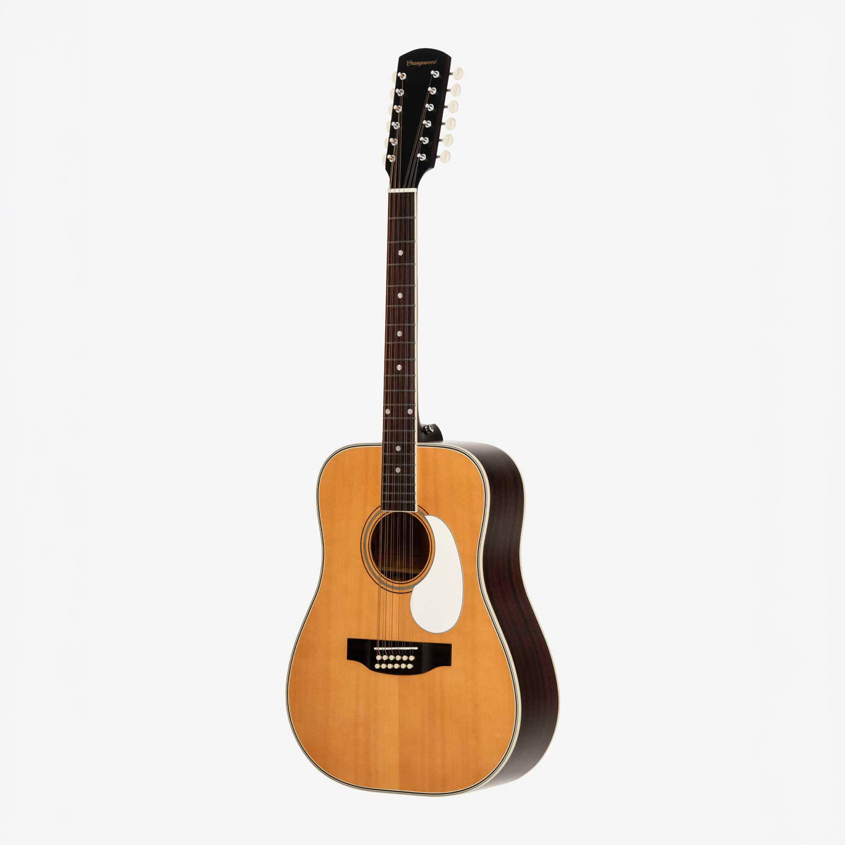 Austen Retro Live 12-String