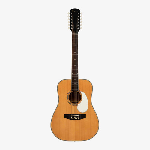 Austen Retro Live 12-String
