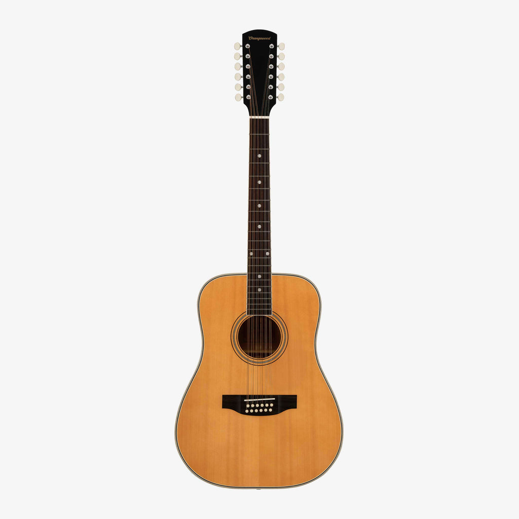 Austen Retro Live 12-String - Almost Perfect