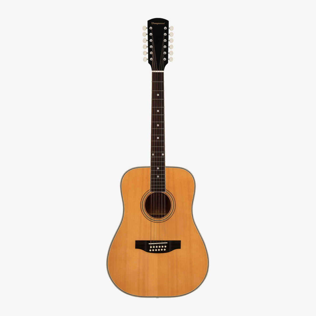 Austen Retro Live 12-String - Almost Perfect