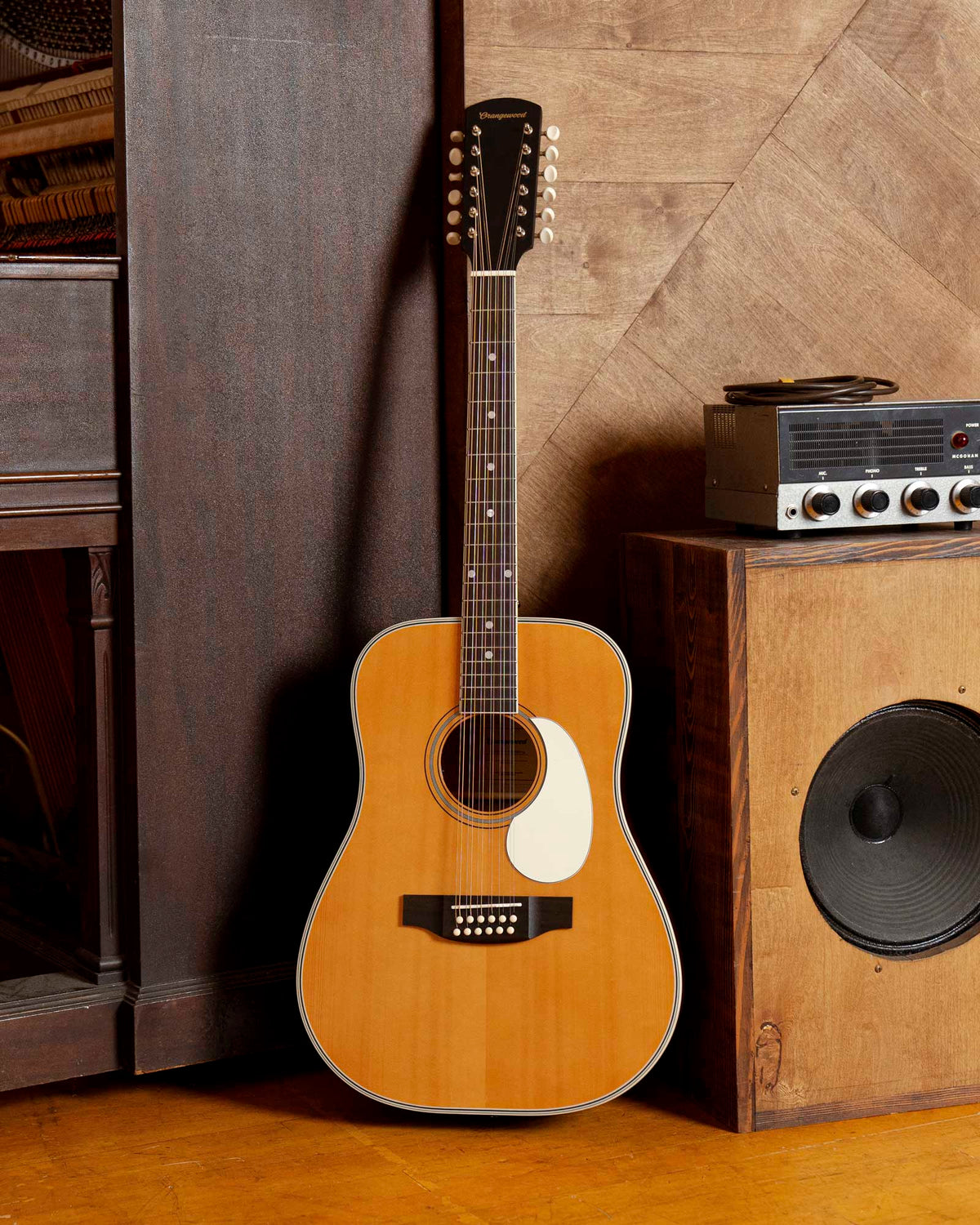 Austen Live 12-String