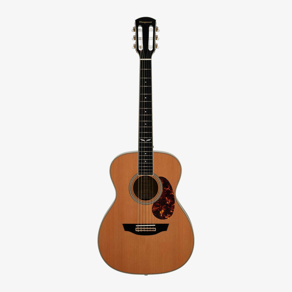Ava Nylon-String - Almost Perfect