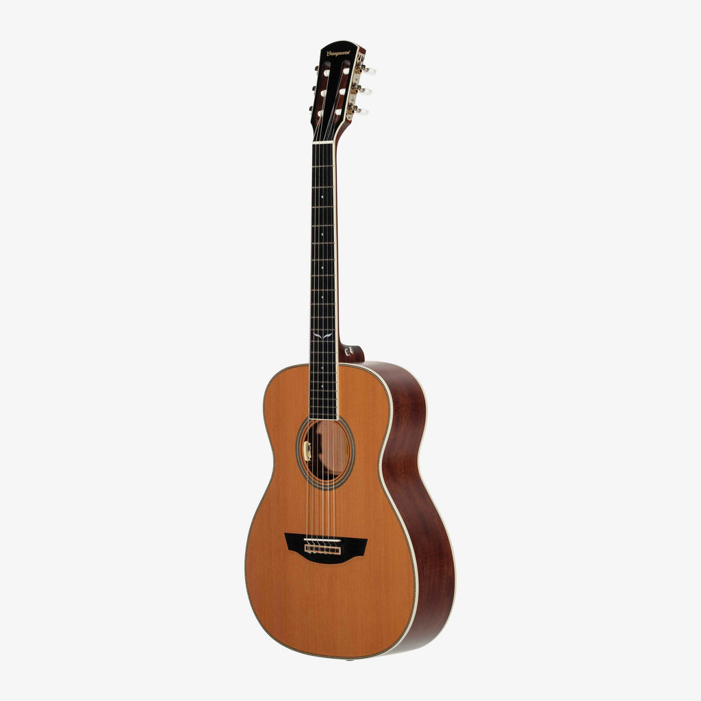 Ava Live Nylon-String - Almost Perfect