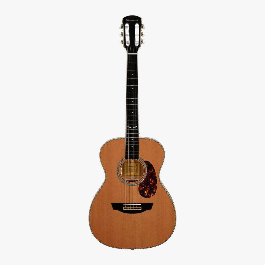 Ava Live Nylon-String - Almost Perfect