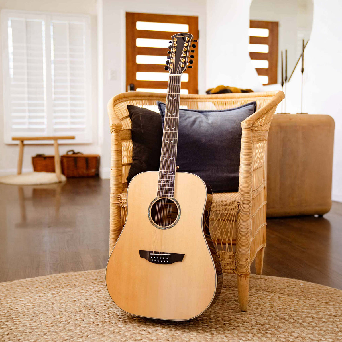 Echo Live 12-String - Almost Perfect