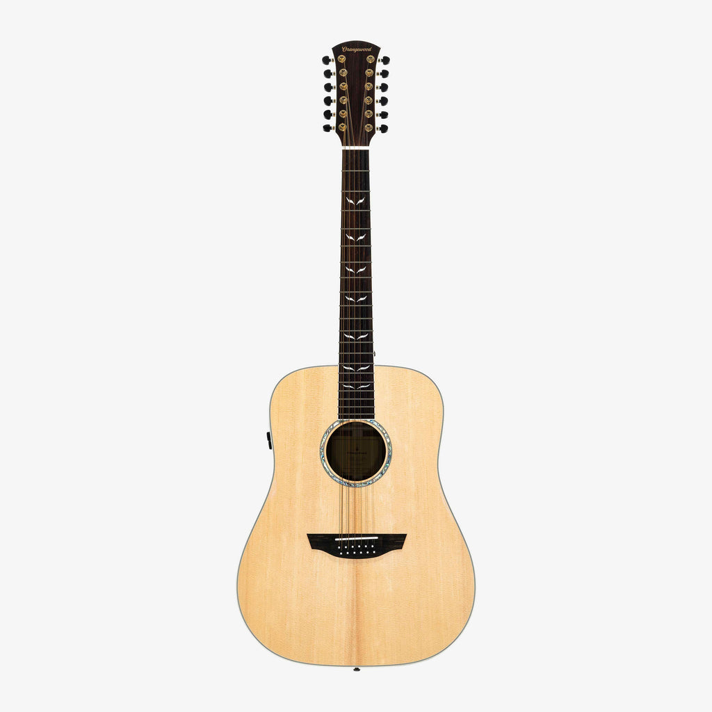 Echo Live 12-String - Almost Perfect