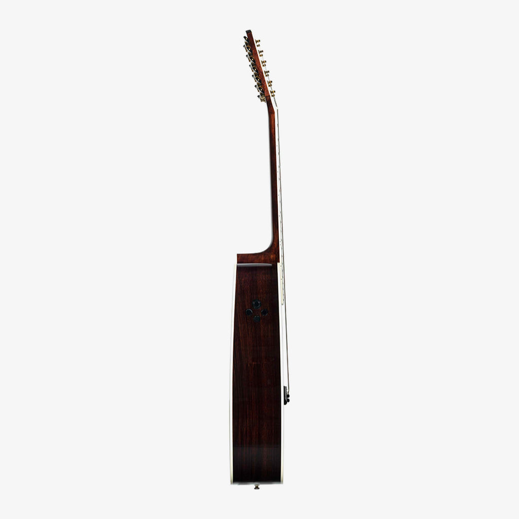 Echo Live 12-String - Almost Perfect