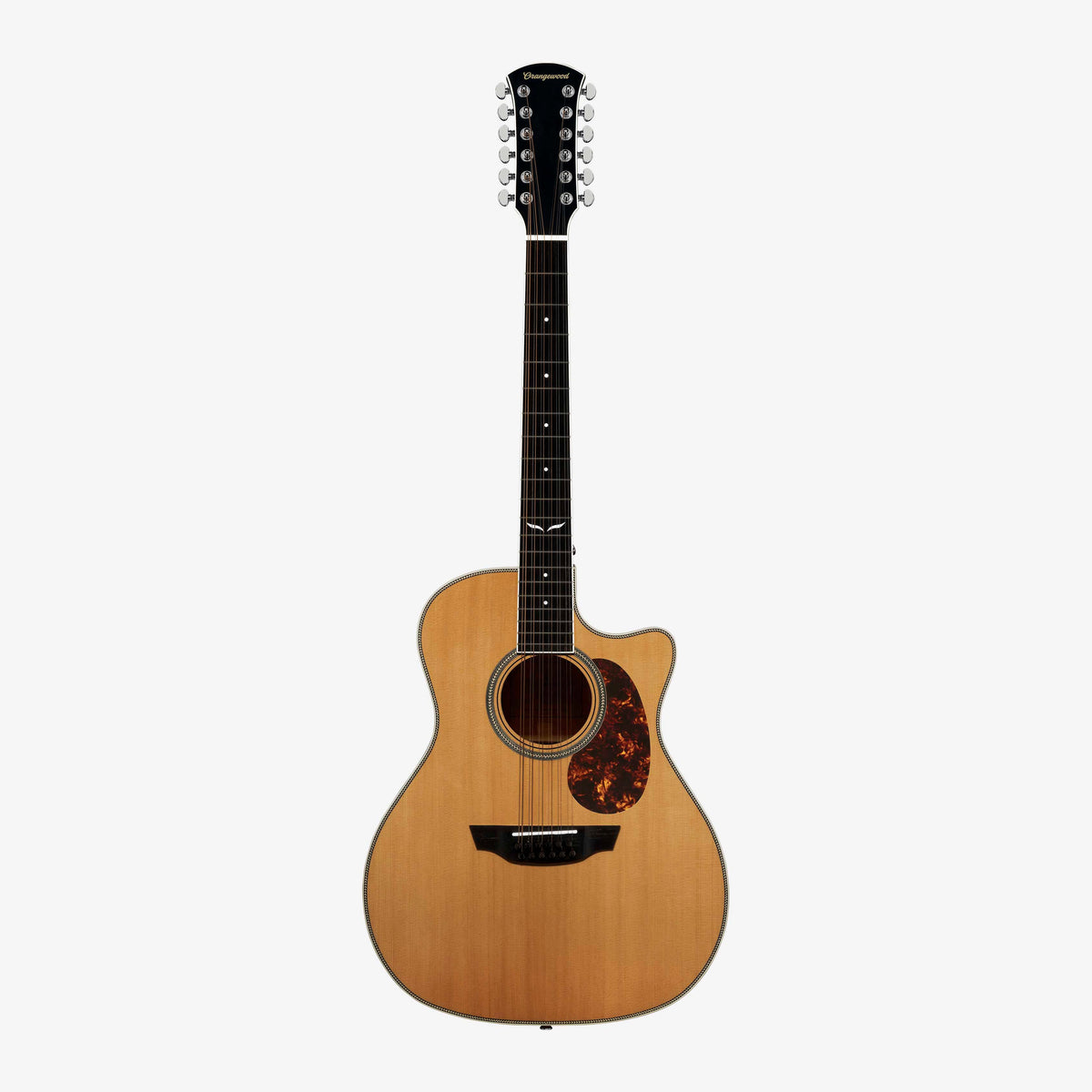 Sage 12-String - Almost Perfect