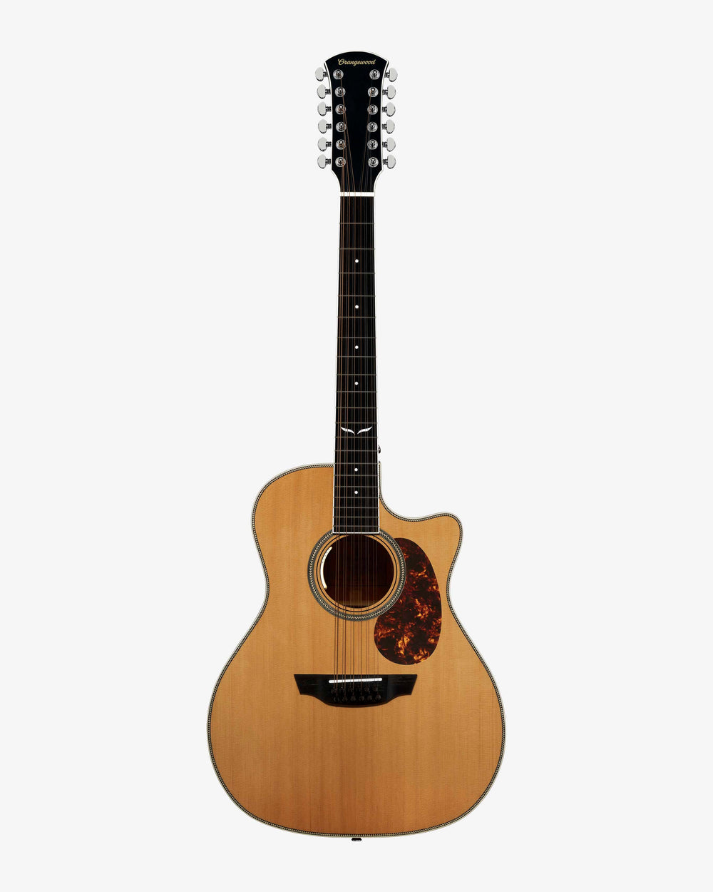 【3/4日夕方頃迄】Highland セミアコ Highland Collection | Orangewood Guitars Tagged 