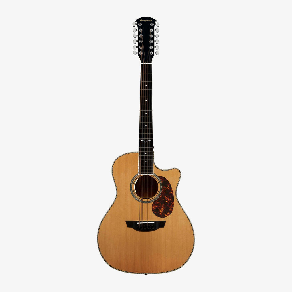 Sage Live 12-String - Almost Perfect