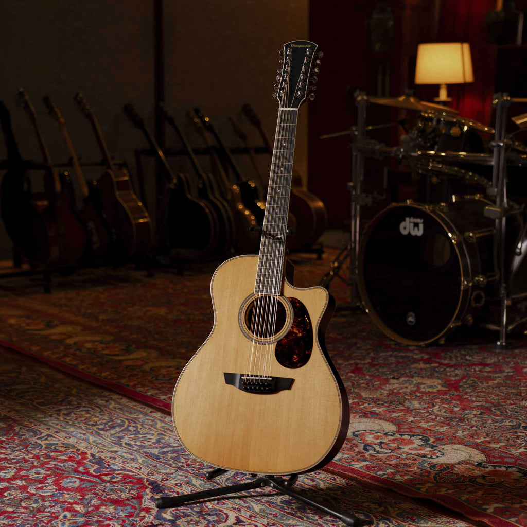 Sage Live 12-String - Almost Perfect