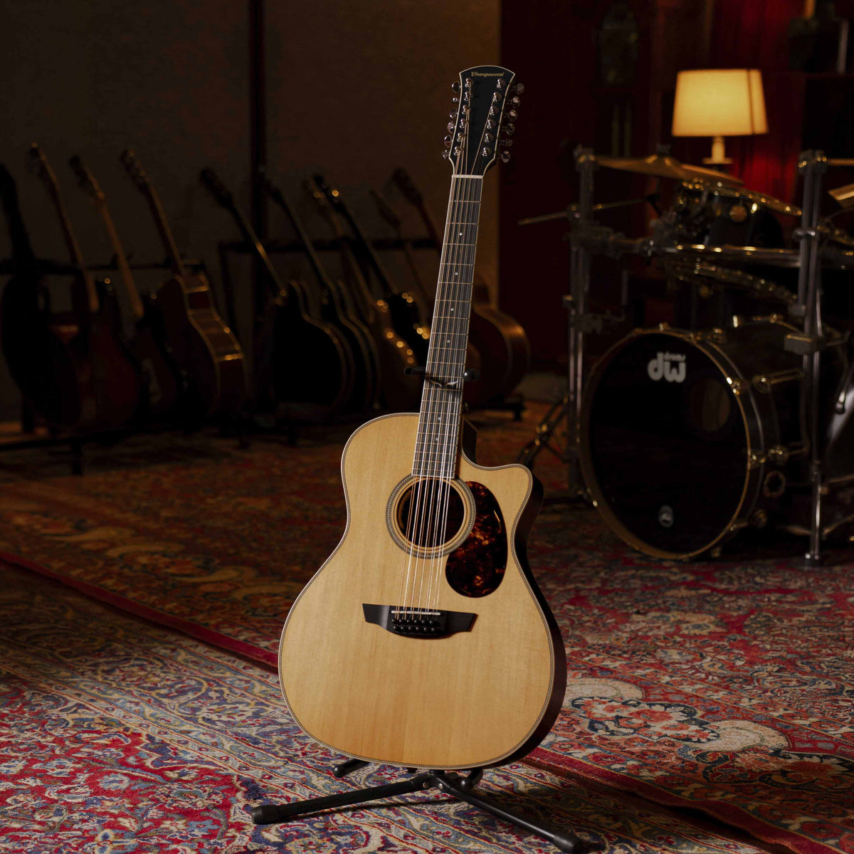 Sage Live 12-String - Almost Perfect