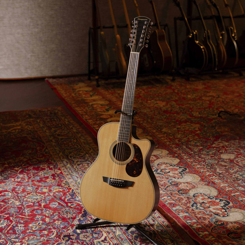 Sage 12-String - Almost Perfect