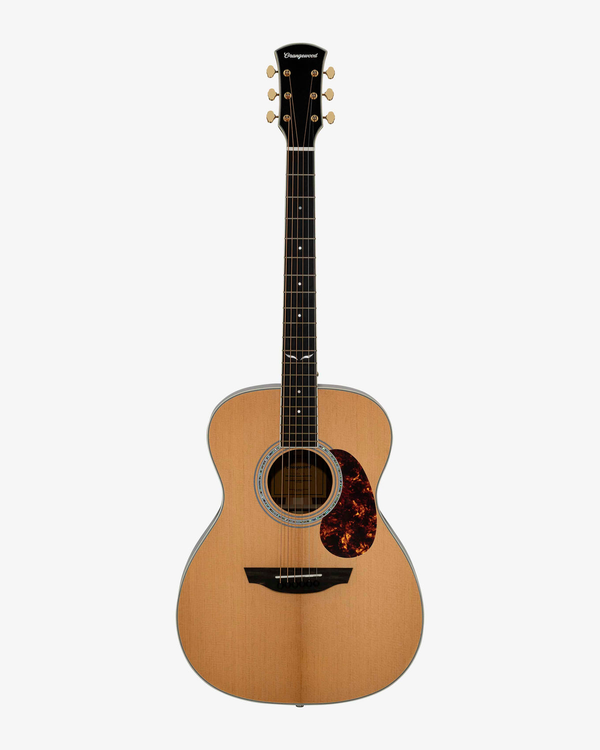Front view of sierra guitar with tortoise shell pickguard