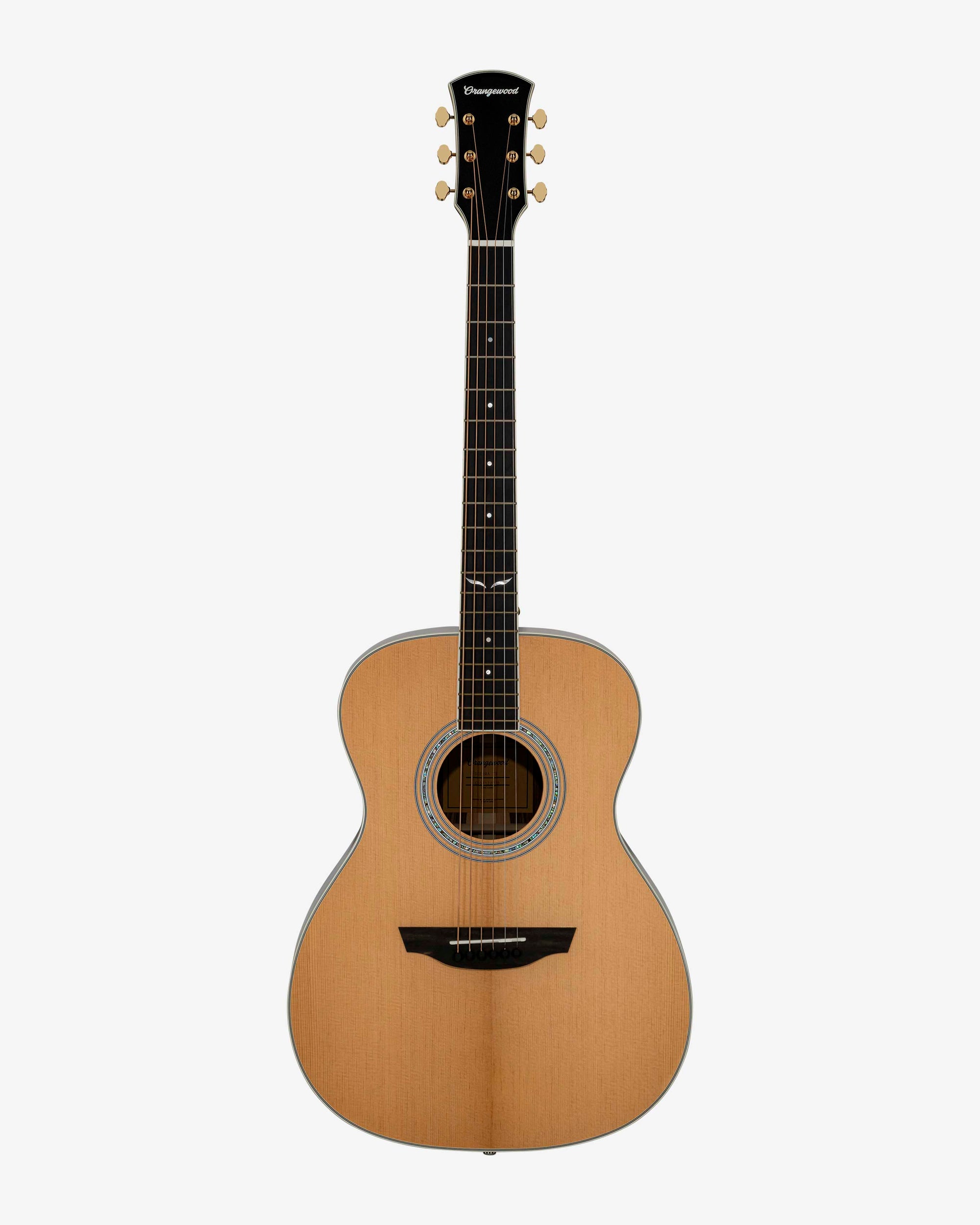 Front view of sierra guitar