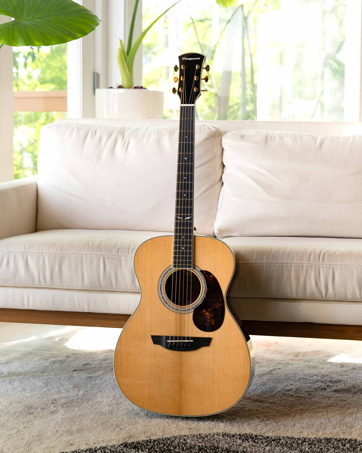 Sierra guitar with a tortoise pickguard in front of a sofa