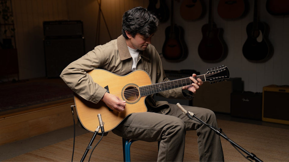 Sage 12-String - Donnie Laudicina