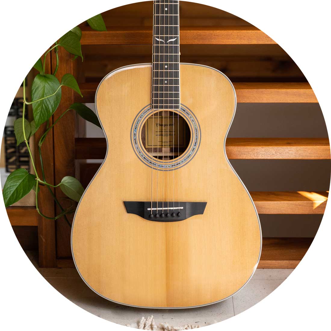 An Orangewood Sierra guitar leans against a wood wall with plants