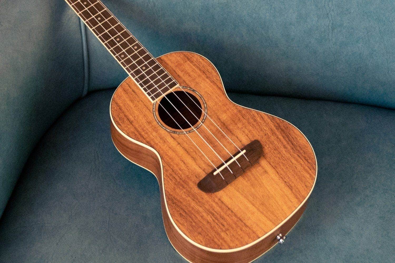 Harper concert acacia ukulele on a blue leather chair