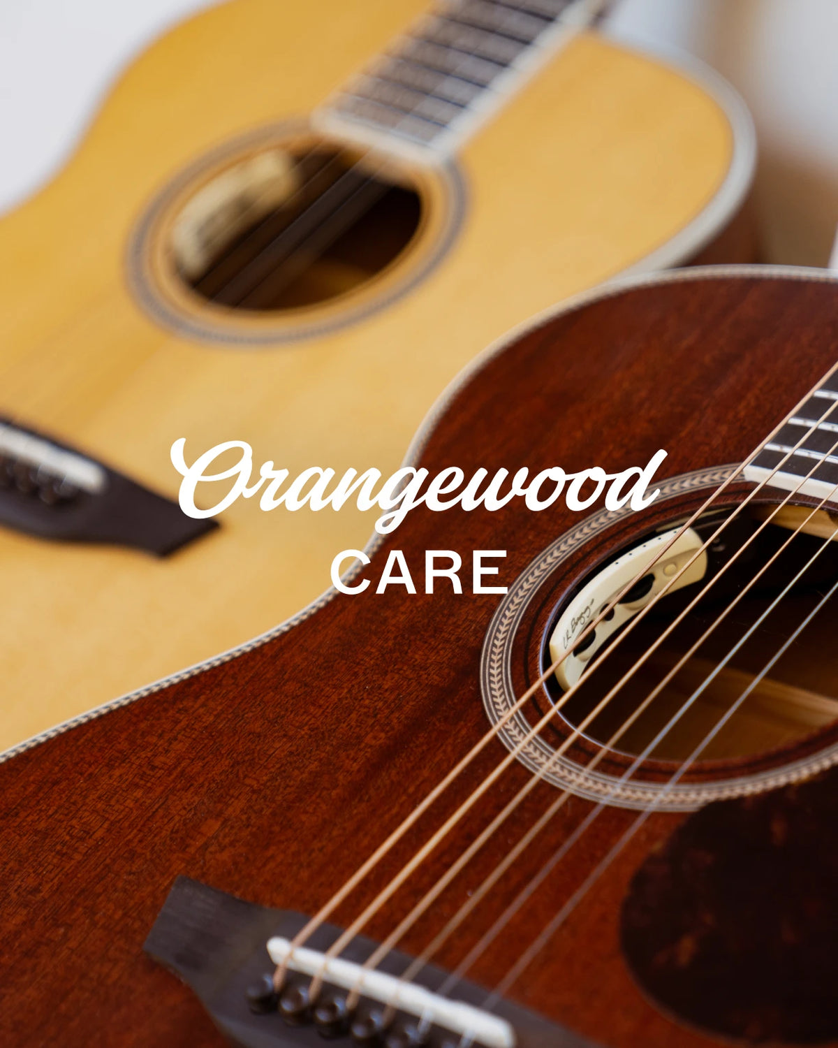 Orangewood Care: close-up of two acoustic-electric guitars
