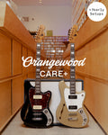 Orangewood Care+ with yearly setups: two electric guitars in front of an amplifier