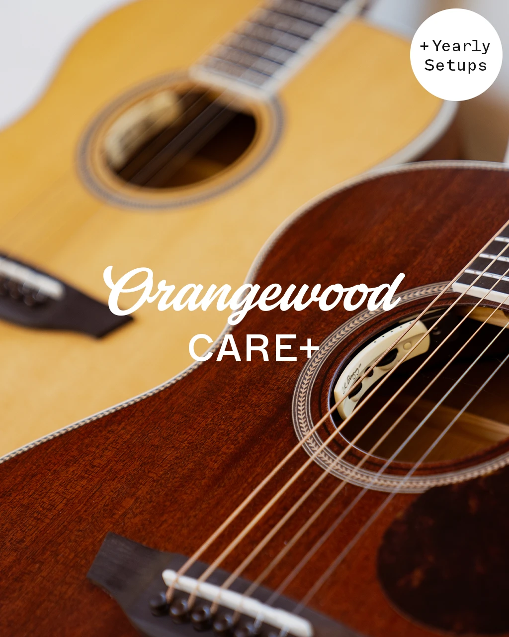 Orangewood Care+ (Highland Live &amp; Topanga Live Collections)