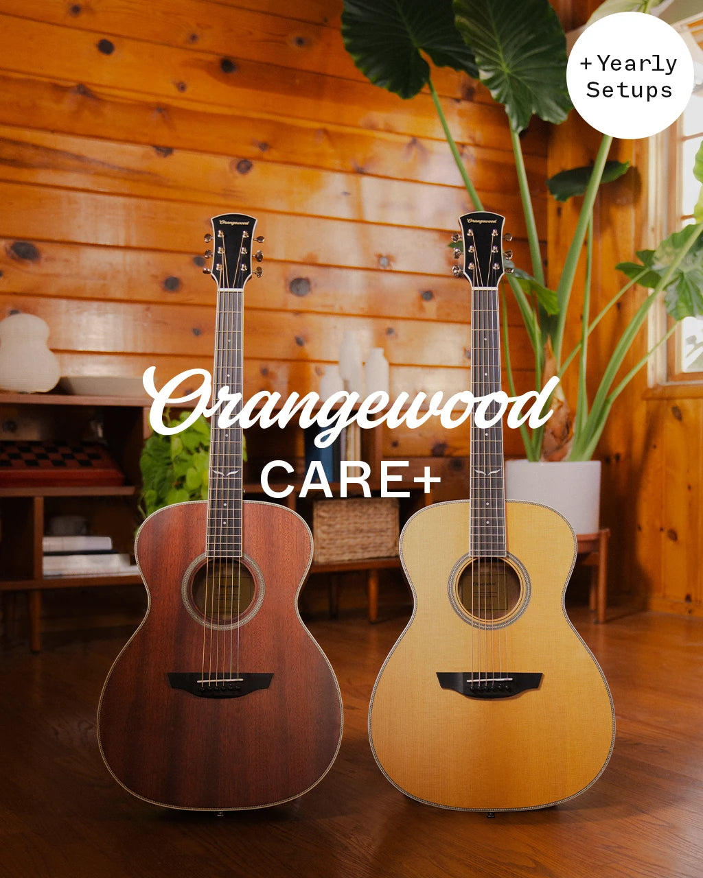 Orangewood Care+ with yearly setups: mahogany and spruce acoustic guitars in a wood-paneled room
