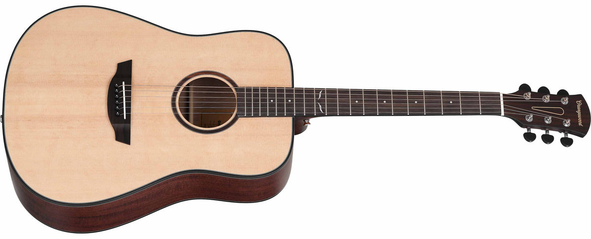 Spruce dreadnought acoustic guitar with rosewood rosette, rosewood fretboard, mahogany sides, and silver hardware
