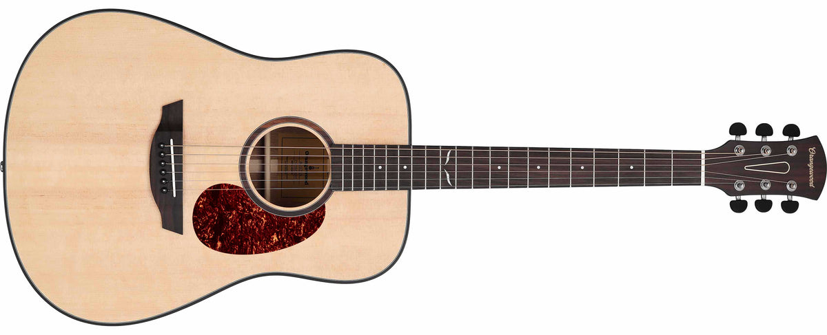 Spruce dreadnought acoustic guitar with rosewood rosette rosewood fretboard, silver hardware, and tortoise shell pick guard