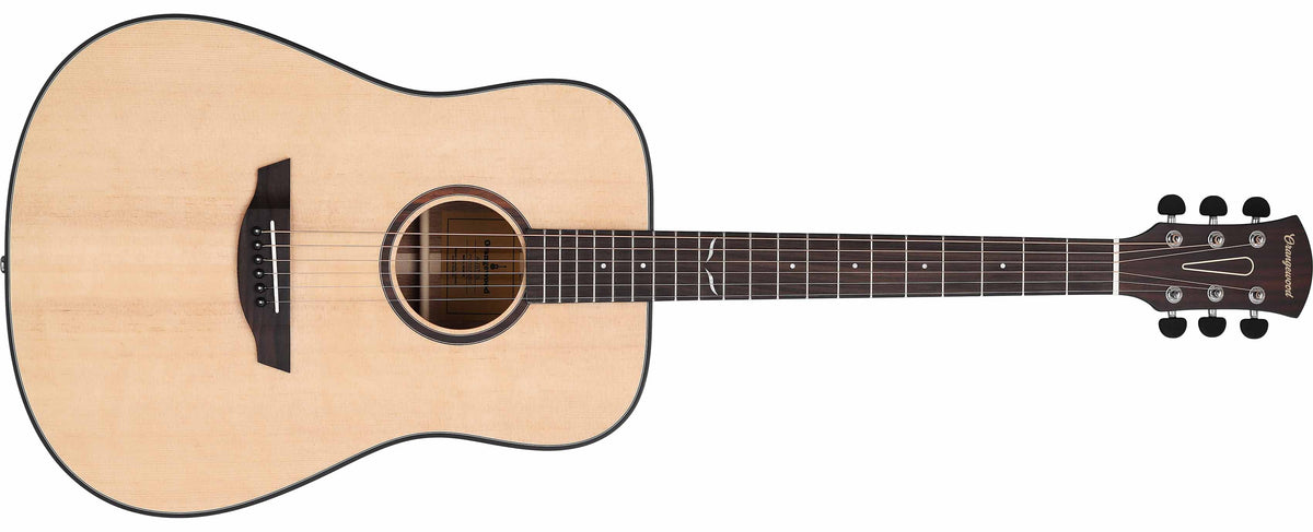 Spruce dreadnought acoustic guitar with rosewood rosette, rosewood fretboard, and silver hardware