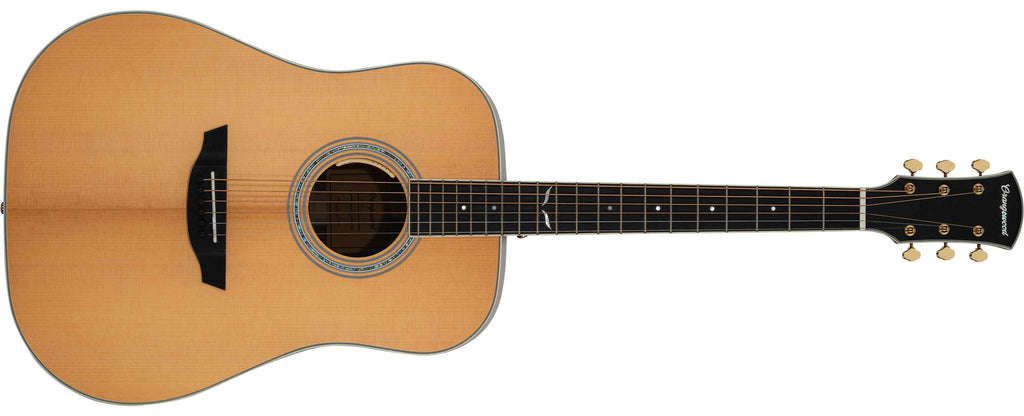 Echo, Sitka Spruce Dreadnought Acoustic Guitar