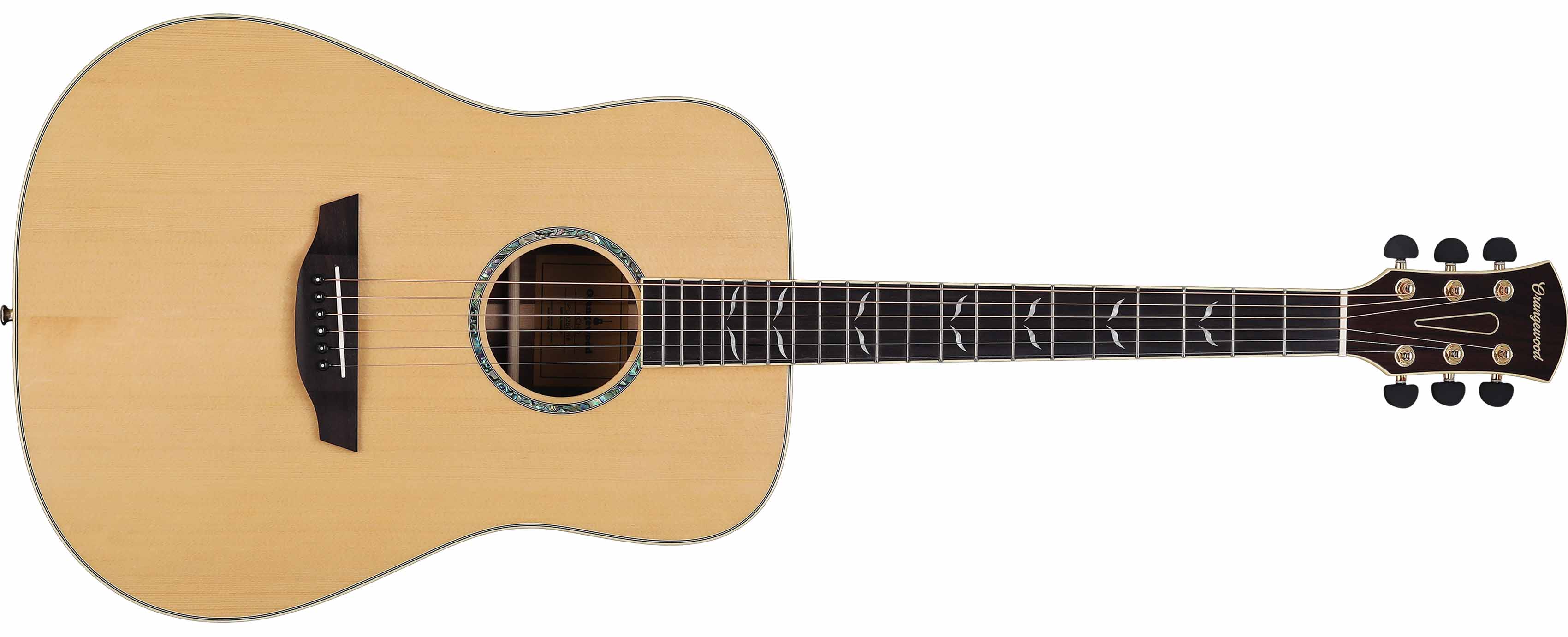 Cool Acoustic Guitars